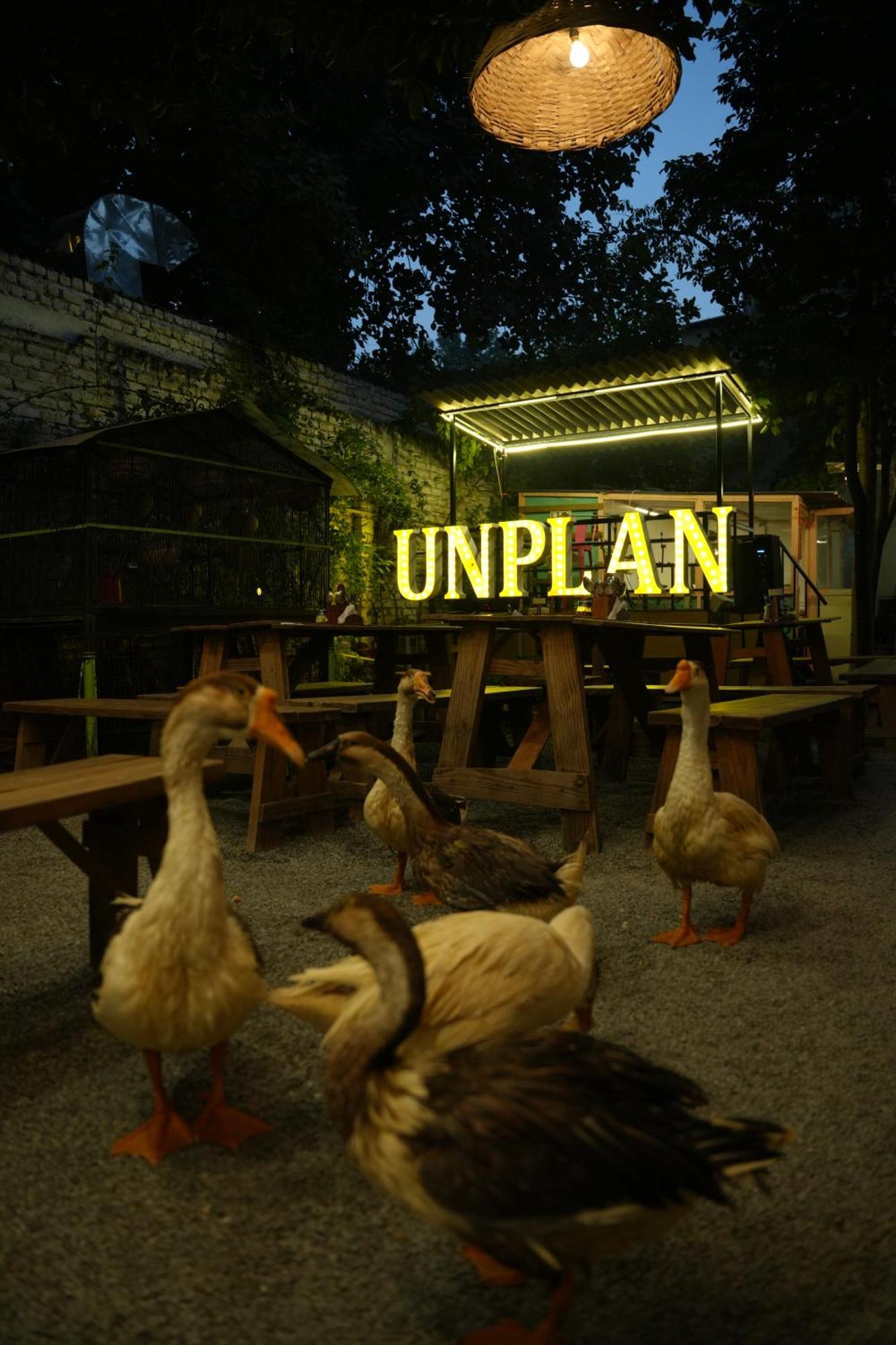 Unplanned Hostel Ουνταϊπούρ Εξωτερικό φωτογραφία